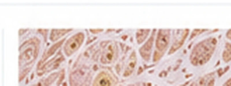 Close-up tissue architecture in warm natural hues